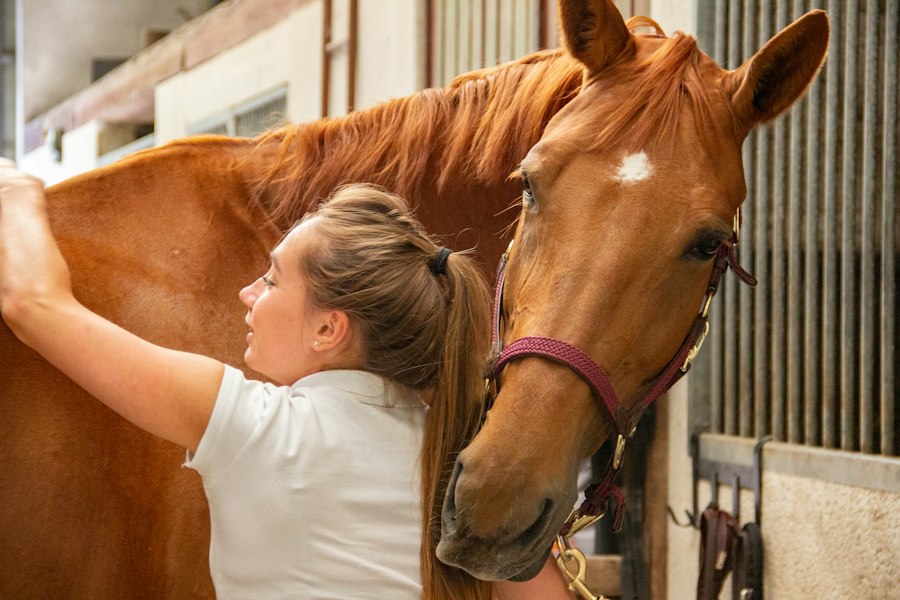 Una ragazza accarezza il suo cavallo nel box